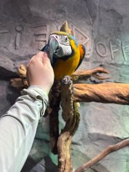 -Zoolung Zoolung动物主题公园(海信广场店)