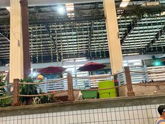 -南宫温泉水世界