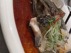 清蒸老虎斑-潮府馆·非遗潮州菜·世纪公园(新国际博览中心店)
