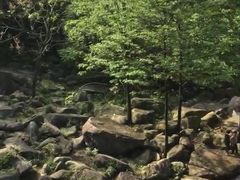 -山沟沟景区