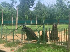 -秦皇岛野生动物园