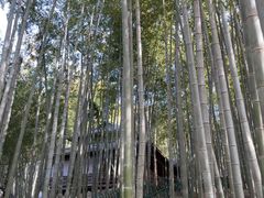 -宝岩生态观光园