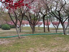 -石家庄市植物园