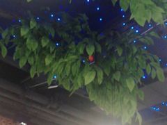 -蕃茄述·好汤自然来(江汉路店)