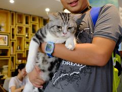 -咖法森林·咖啡  酒吧(天河店)