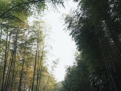 -黄公望隐居地
