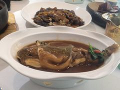 红烧河豚-肆月河豚·新淮扬(金融街店)