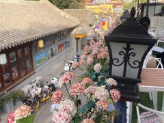 -Sirena海妖日咖夜酒