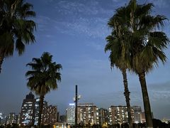 -金沙湖公园