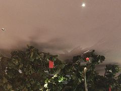 -八府香鸭·啫啫煲(华山路店)