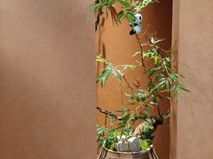 -上井精致料理(大坪店)