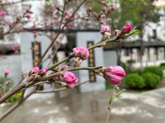 -君庭中餐厅(友谊宾馆店)