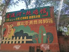 -碧流河炖鸡馆