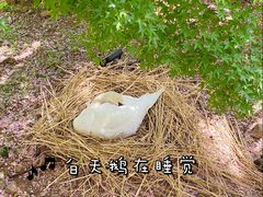 -无锡动物园·太湖欢乐园