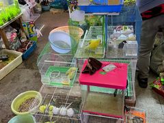 -双季花艺园艺市场(浦东店)