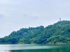 -红花湖景区