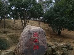 -融园咖啡馆(昙华林店)