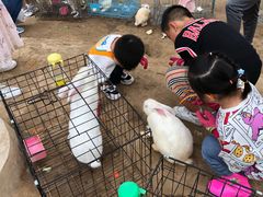 -前小桔亲子创意农场·草莓采摘·露营烧烤