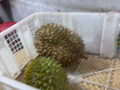 -Ah Hung D24 Sultan Durian