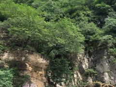 -灵山