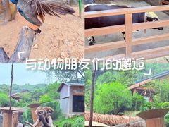 -杭州开元森泊度假乐园