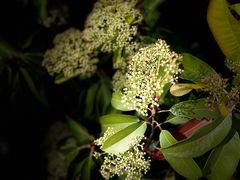 -幕燕滨江·长江观音景区