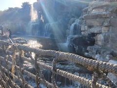 -北京西山国家森林公园