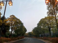 -苏州香格里拉大酒店