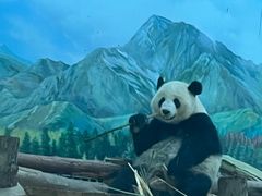 -武汉动物园