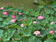 -沐仙湖湿地公园