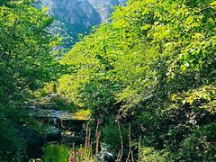 -孤山寨风景区