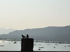 -湖畔居茶楼(湖滨店)
