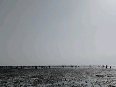 -仙人岛