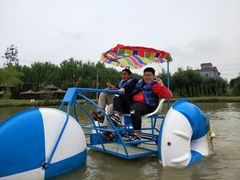 -洋山深水港