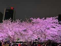 -西北湖绿化广场