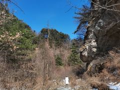 -秦岭风景区