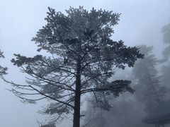 -峨眉山风景名胜区