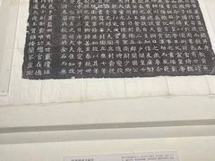 -隋唐大运河文化博物馆