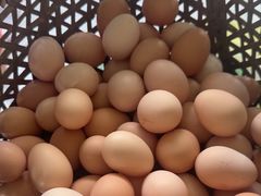 -马陆小张葡萄园农家乐