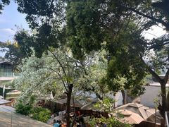 -三圣花乡旅游区