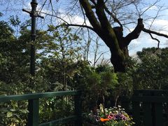 -三鹰之森吉卜力美术馆