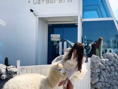 -Blue Concept Cafe&Farm·關於藍