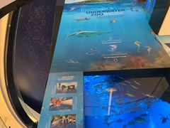 -迪拜水族馆及水下动物园