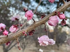 -鹫峰国家森林公园