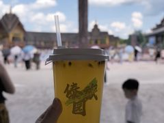 -西双版纳傣族园