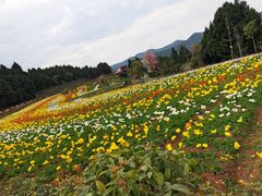 -中国香山·寿香谷