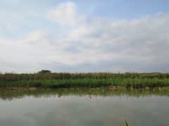 -同里国家湿地公园