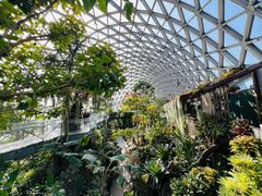 -上海辰山植物园