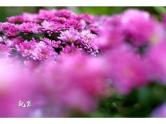 -汇龙潭