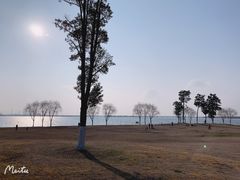 -漕湖湿地公园
